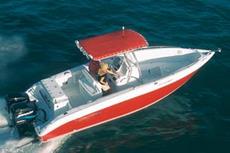 Baja Marine 250 Sportfish  2004 Boat specs