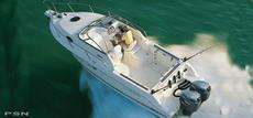 Wellcraft 250 2004 Boat specs