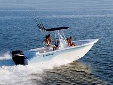 Sea Fox 216 2006 Boat specs