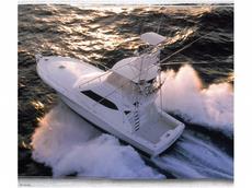 Rampage 45 Convertible 2007 Boat specs