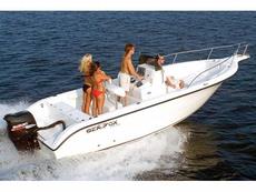 Sea Fox 23 CC Sport 2007 Boat specs