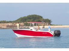 Sea Pro 270 CC 2008 Boat specs