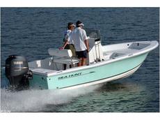 Sea Hunt BX 21 Pro 2009 Boat specs