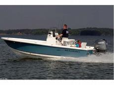 Sea Hunt BX 22 Pro 2009 Boat specs