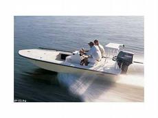 Hewes Tailfisher 17 2010 Boat specs
