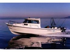 Arima Sea Ranger 21 HT 2012 Boat specs