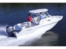 Sea Fox 216WA Pro Series 2012 Boat specs