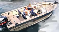 Alumacraft Trophy Sport 185 2001 Boat specs