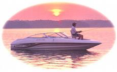 Caravelle 212 Fish & Ski 2001 boat specs