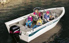 Fisher 19 SPORT AVENGER  2001 Boat specs
