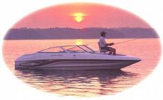 Caravelle 212 Fish & Ski 2002 boat specs