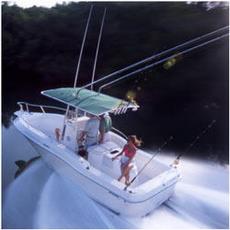 Sugar Sand Offshore (210HP) 2002 Boat specs