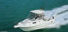 Wellcraft 22 Walkaround I/O 2004 Boat specs