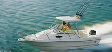 Wellcraft 24 Walkaround 2004 Boat specs