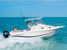 Pro-Line 29 Walk 2005 Boat specs