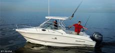 Wellcraft 252 2005 Boat specs