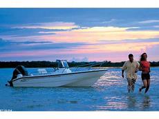 Boston Whaler 160 Dauntless 2006 Boat specs