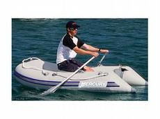Mercury 240 Roll-Up Gray (PVC) 2006 Boat specs