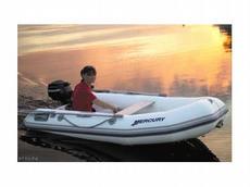 Mercury 280 Dynamic RIB Gray (PVC) 2006 Boat specs