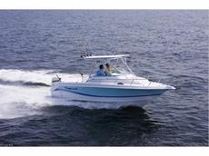 Pro-Line 24 Walk 2006 Boat specs