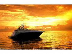 Rinker 390 Express Cruiser 2006 Boat specs