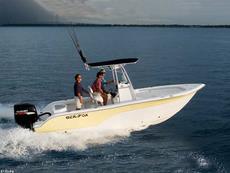 Sea Fox 236 2006 Boat specs