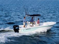 Sea Fox 245 2006 Boat specs