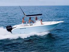 Sea Fox 257 2006 Boat specs