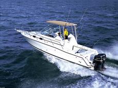 Stamas 290 Express Outboard 2006 Boat specs