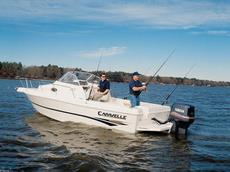 Caravelle 230 Walk Around (Outboard) 2007 Boat specs