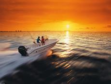 Century Boats 2001CC 2007 Boat specs