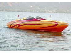 Eliminator 300 Eagle XP 2007 Boat specs