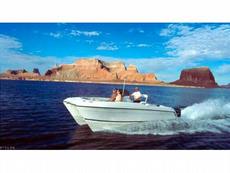 Glacier Bay 2260 Canyon Runner 2007 Boat specs