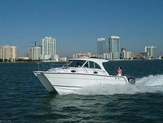 Glacier Bay 3080 Coastal Runner 2007 Boat specs