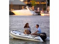 Mercury 260 Dynamic PVC (Grey) 2007 Boat specs