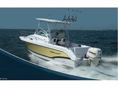Pro-Line 24 Walk 2007 Boat specs