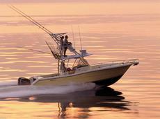 Pursuit C 300 2007 Boat specs