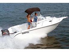 Sea Fox 21 WA Sport 2007 Boat specs