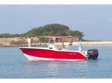 Sea Pro 270 Center Console 2007 Boat specs