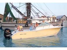 Sea Pro 270 Walk Around 2007 Boat specs