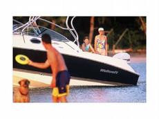 Wellcraft 252 Coastal 2007 Boat specs