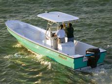 Angler 2600 Panga 2008 Boat specs