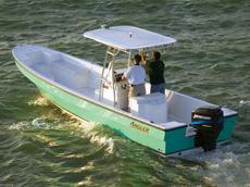 Angler 2600 Panga  2008 Boat specs