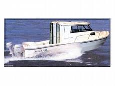 Arima Sea Ranger 21 Explorer 2008 Boat specs