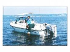 Arima Sea Ranger 21 2008 Boat specs