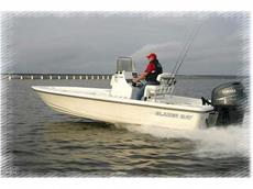 Blazer Boats 2420 Professional 2008 Boat specs