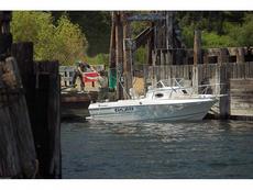 Campion 622 Walkaround 2008 Boat specs