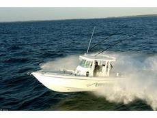 Everglades Boats 290 Pilot 2008 Boat specs