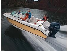 Striper 1851 Dual Console O/B 2008 Boat specs