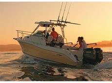 Striper 2601 Walk Around O/B 2008 Boat specs